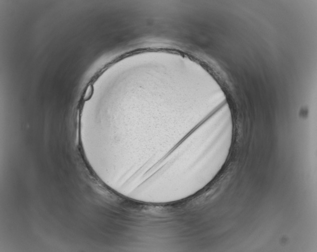 X0000116811175201001291555