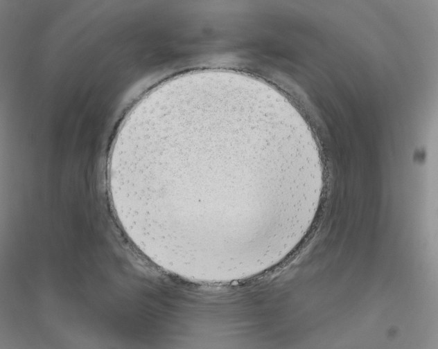 X0000116811176201001291555