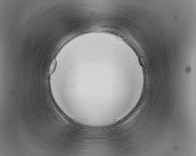 X0000116811177201001291555