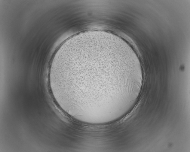 X0000116811179201001291555