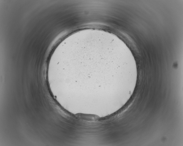 X0000116811180201001291555