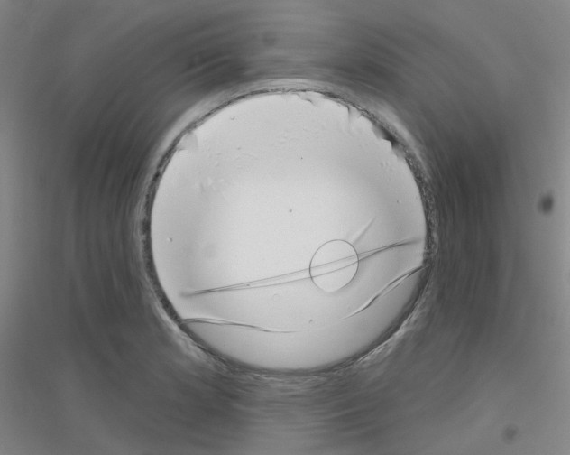 X0000116811181201001291555