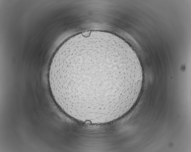 X0000116811182201001291555
