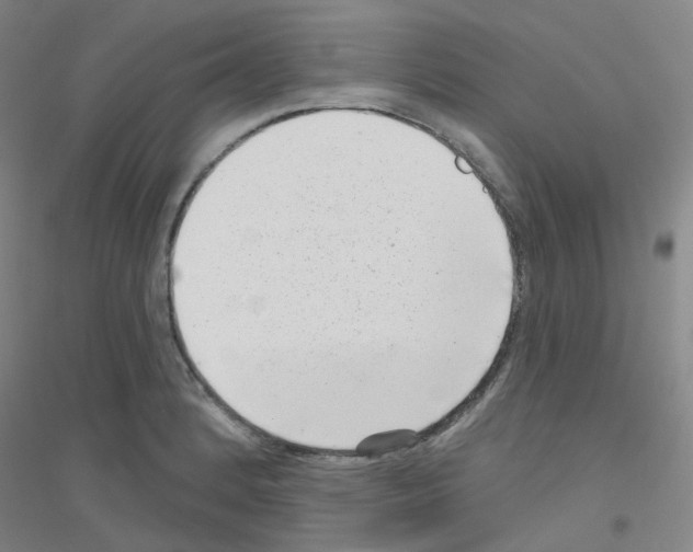 X0000116811184201001291555