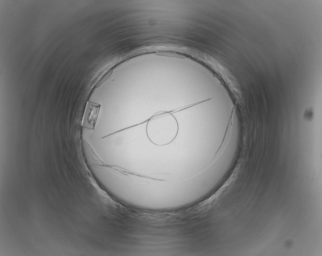X0000116811185201001291555