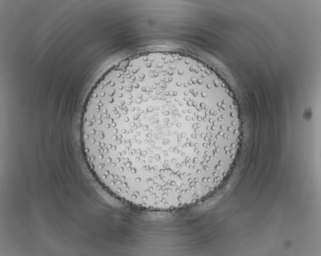 X0000116811186201001291555
