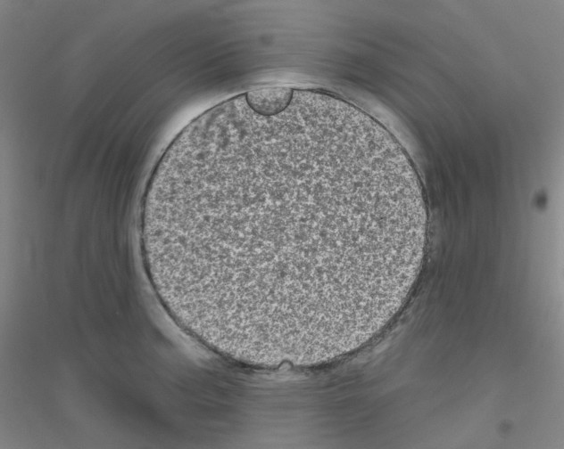 X0000116811187201001291555
