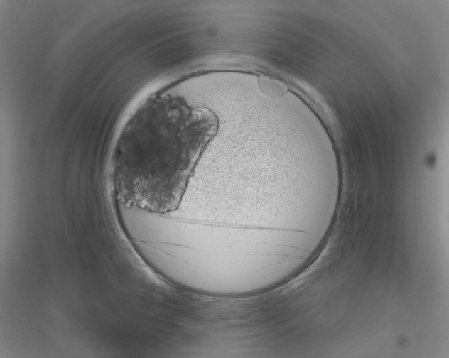 X0000116811188201001291555