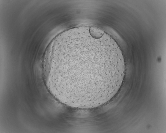 X0000116811190201001291555