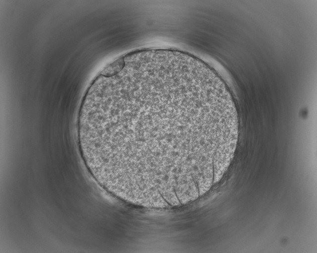 X0000116811191201001291555
