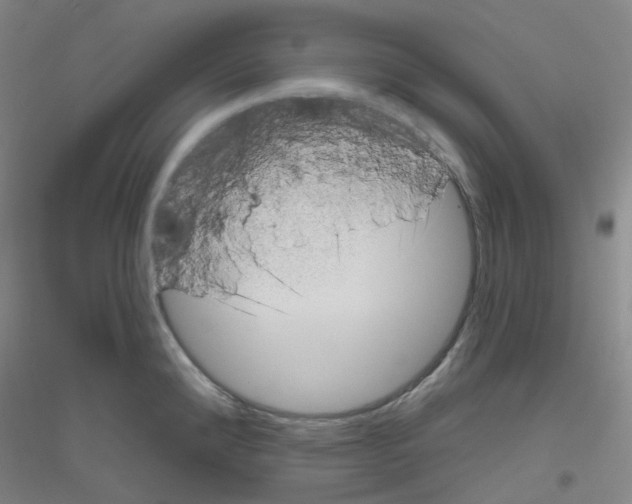 X0000116811192201001291555