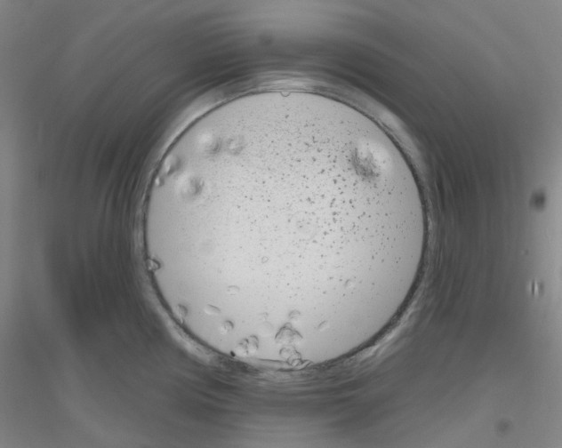 X0000116811194201001291555