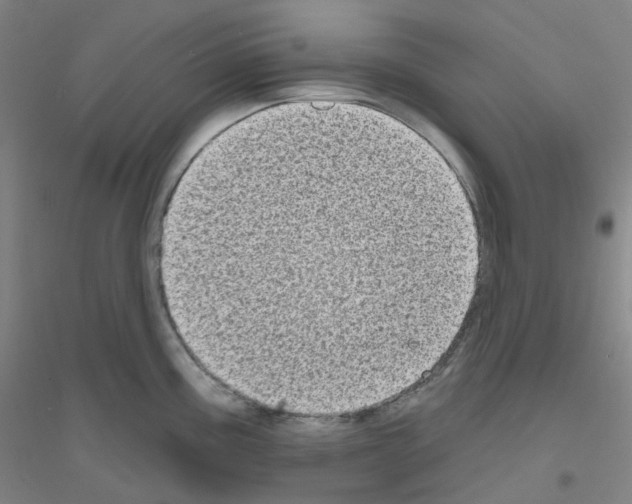 X0000116811195201001291555