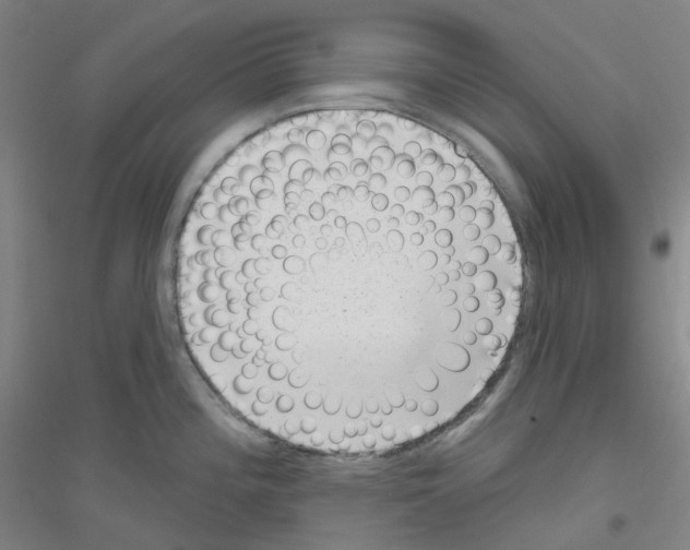 X0000116811196201001291555