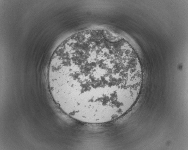 X0000116811198201001291555