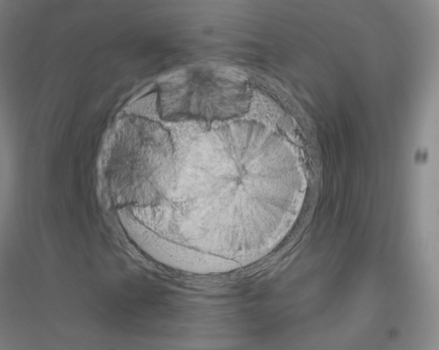 X0000116811201201001291554