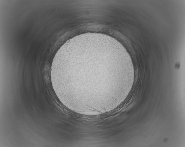 X0000116811202201001291554