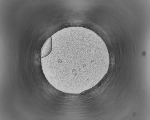 X0000116811204201001291554