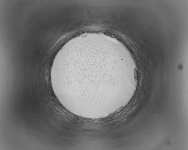X0000116811206201001291554