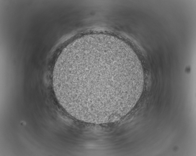 X0000116811207201001291554