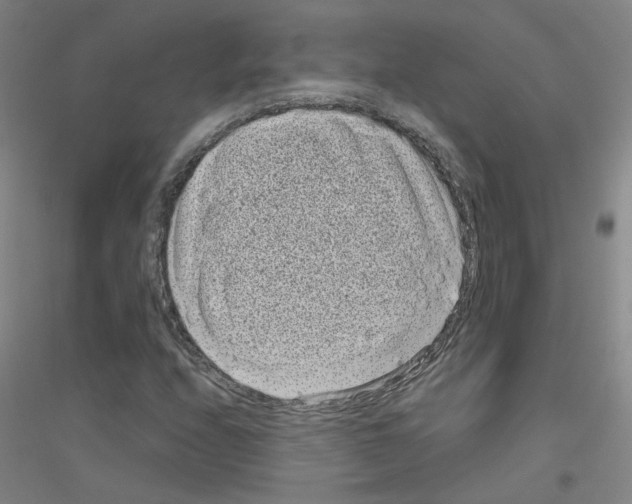 X0000116811208201001291554