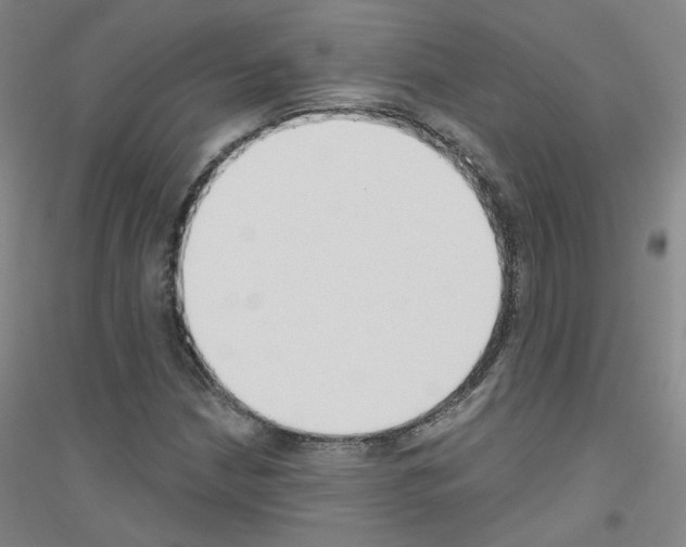 X0000116811210201001291554