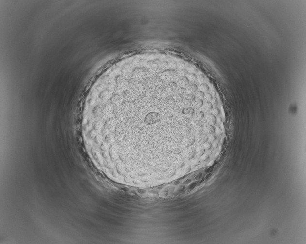 X0000116811212201001291554