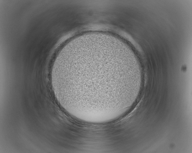 X0000116811213201001291554