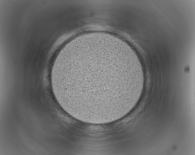 X0000116811215201001291554