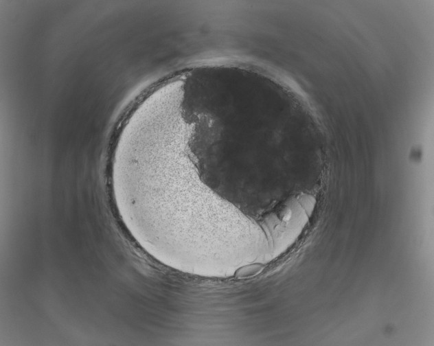 X0000116811216201001291554