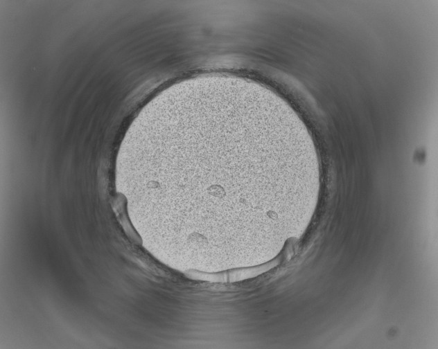 X0000116811217201001291554