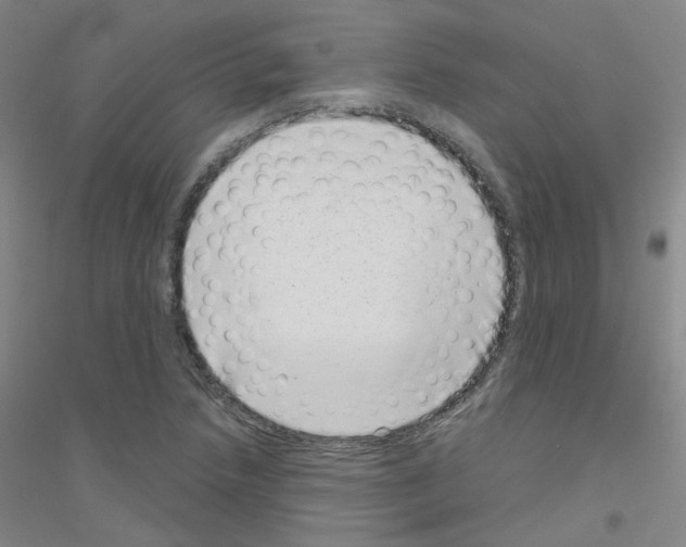 X0000116811218201001291554