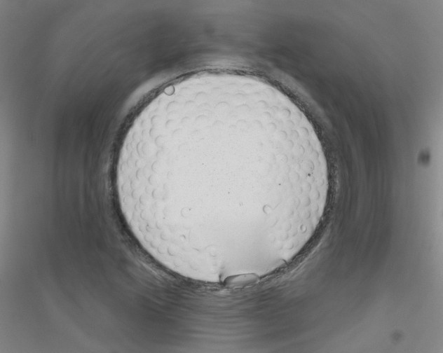 X0000116811222201001291554