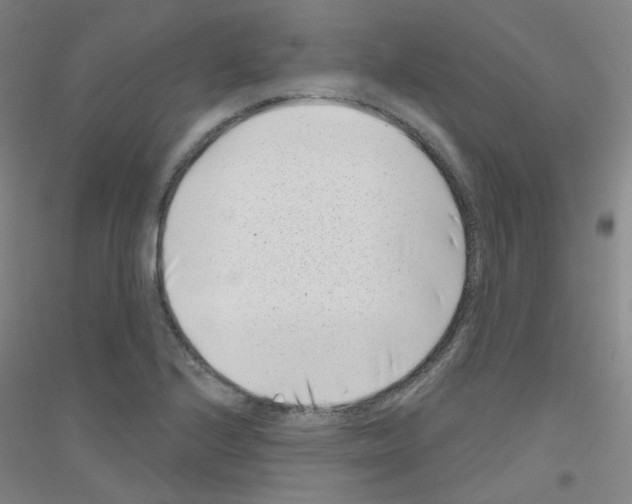 X0000116811224201001291554