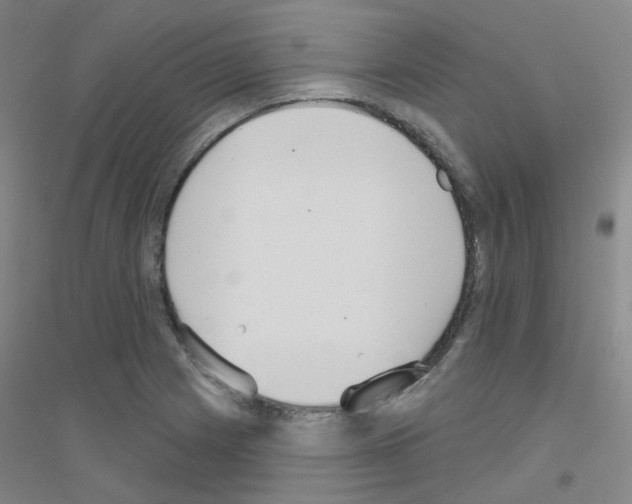 X0000116811225201001291554
