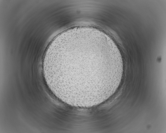 X0000116811226201001291554