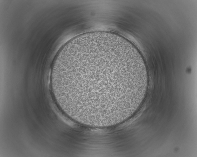 X0000116811227201001291554