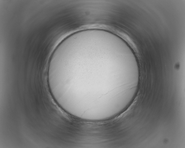 X0000116811228201001291554