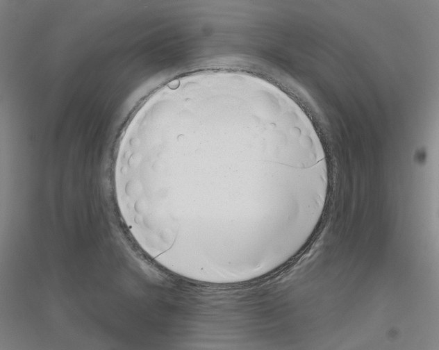 X0000116811230201001291554