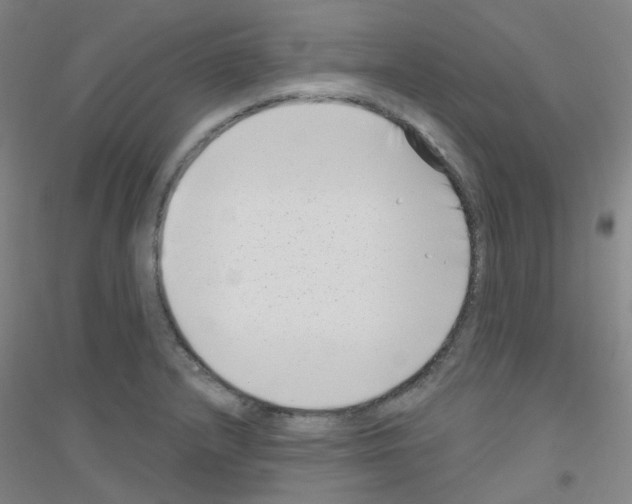 X0000116811232201001291554