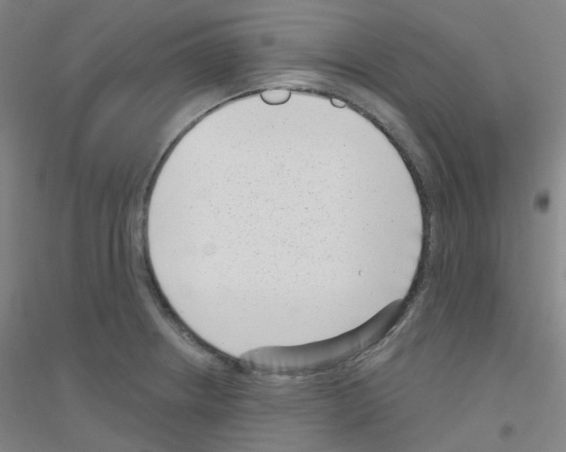 X0000116811234201001291554