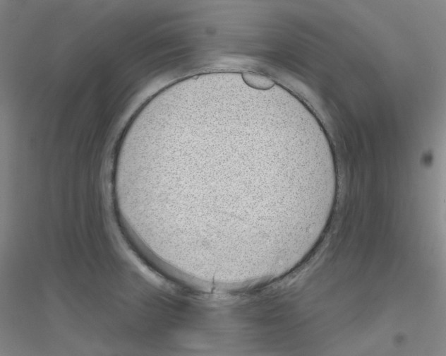 X0000116811235201001291554