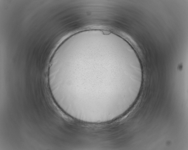 X0000116811236201001291554