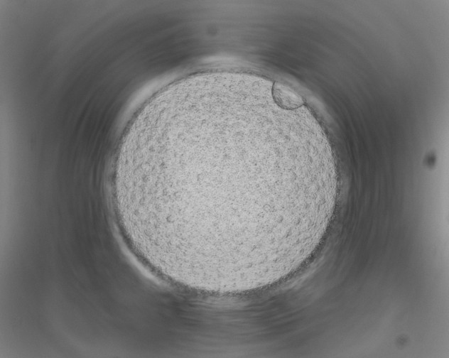 X0000116811239201001291554