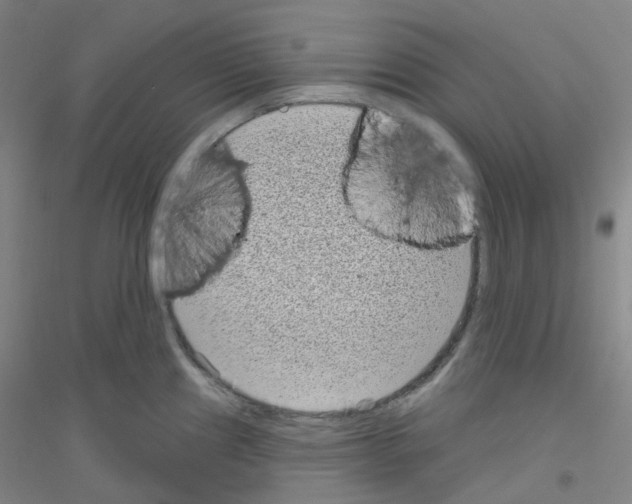 X0000116811241201001291554