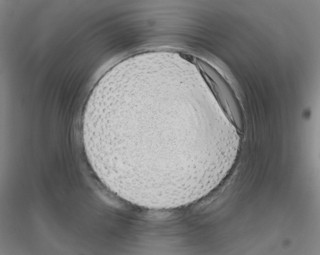 X0000116811242201001291554