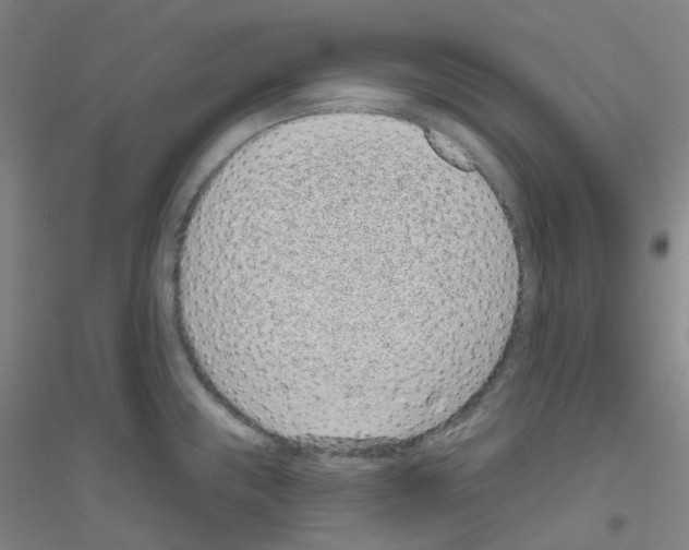 X0000116811243201001291554