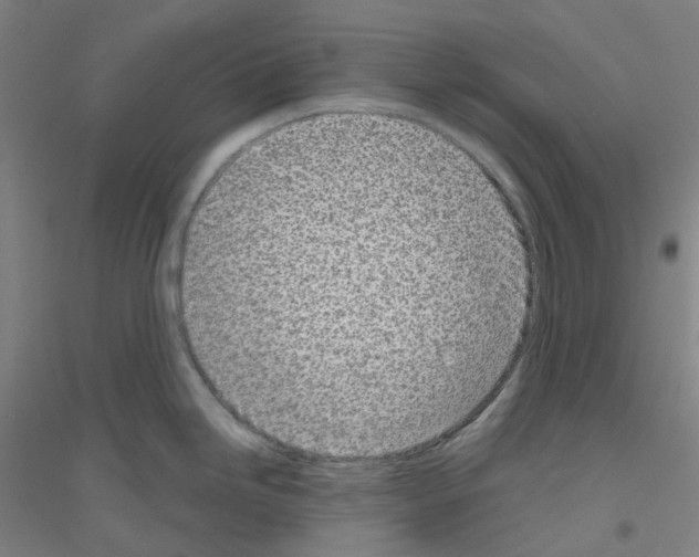 X0000116811246201001291554
