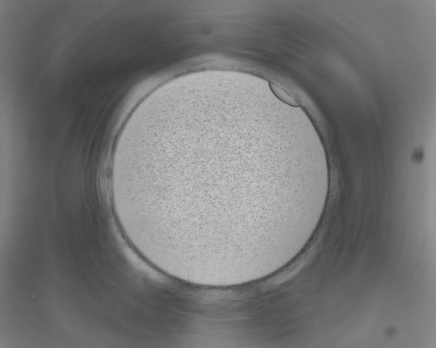 X0000116811247201001291554