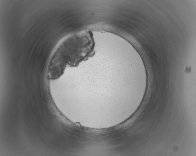 X0000116811248201001291554